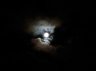 Super Moon on 23 June - night of the Enrapt performance at Point Lookout - 